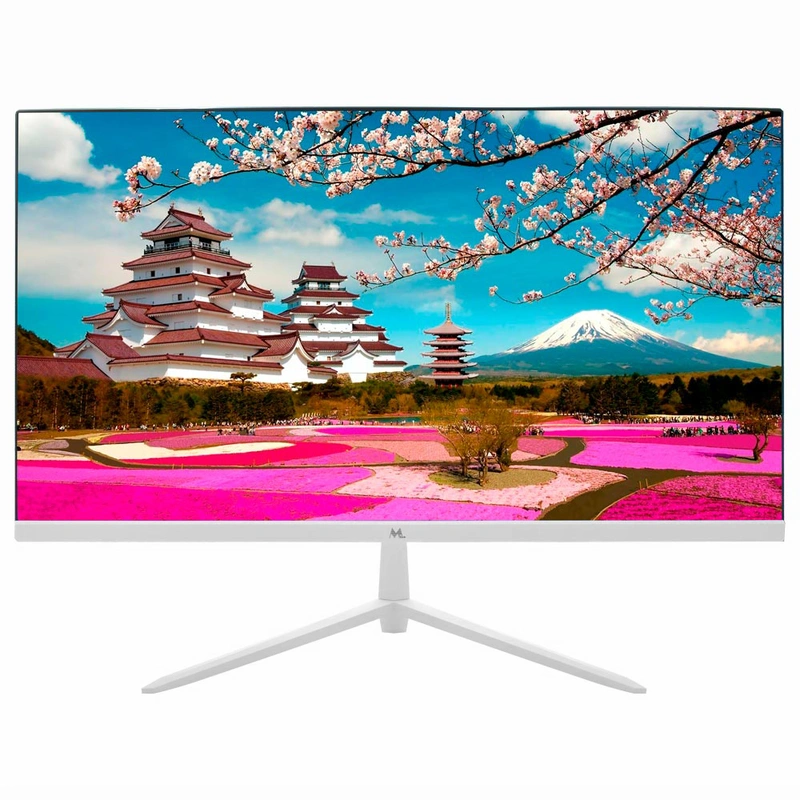 Monitor Mtek MS22SFV100P VA 22 Tela 22" 1920 x 1080 (FHD) 100Hz VA - Painel